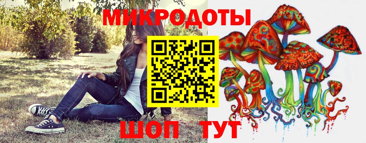 Галлюциногенные грибы Psilocybine cubensis  Вход с VPN  Верхняя Салда 